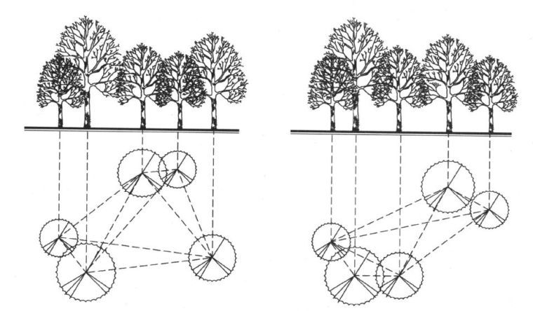 园林景观植物绿化设计方法&附世界园林植物与花卉百科全...-9.jpg