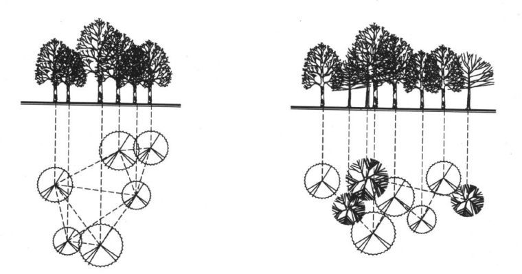 园林景观植物绿化设计方法&附世界园林植物与花卉百科全...-10.jpg