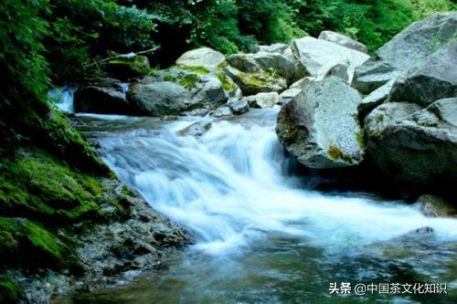 正确的泡茶6个步骤，茶道入门知识，图解茶艺品茗指南-1.jpg