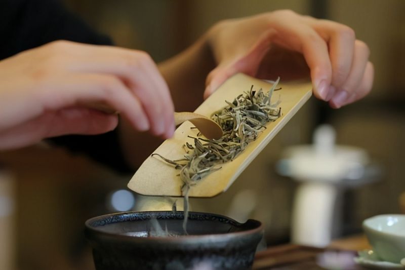 3分钟教你读懂茶道入门知识，泡茶水温多少度合适？-6.jpg