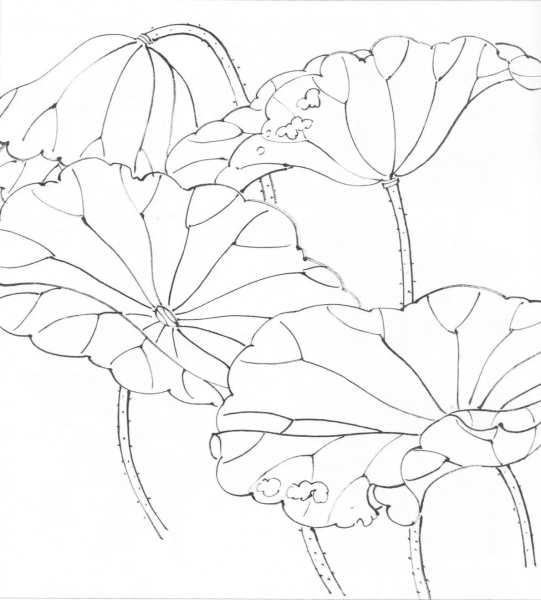 一学就会！图文教程：画水墨荷花-4.jpg