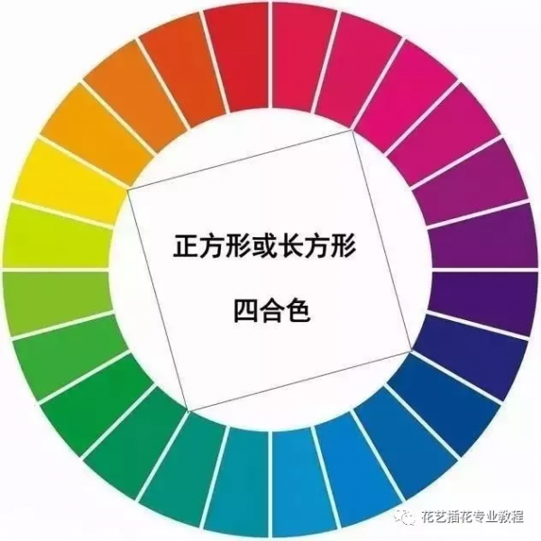 花艺培训教程｜最全花艺色彩搭配教程-13.jpg
