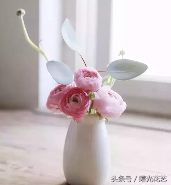 20种花材的插花教程，不会插花看这里！-2.jpg