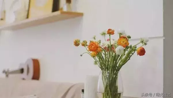 20种花材的插花教程，不会插花看这里！-4.jpg