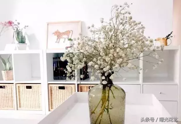 20种花材的插花教程，不会插花看这里！-9.jpg