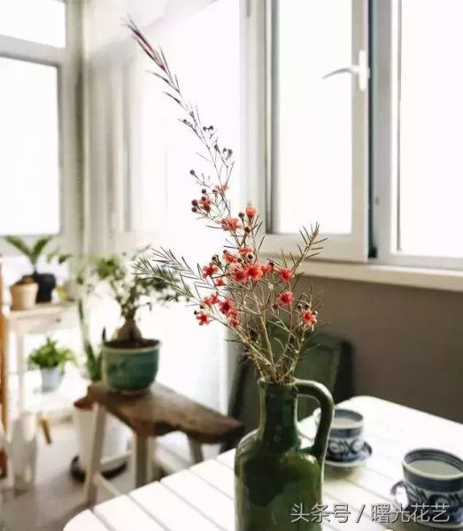 20种花材的插花教程，不会插花看这里！-12.jpg