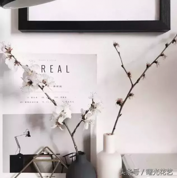 20种花材的插花教程，不会插花看这里！-13.jpg