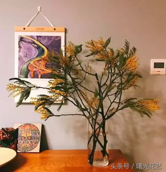 20种花材的插花教程，不会插花看这里！-14.jpg