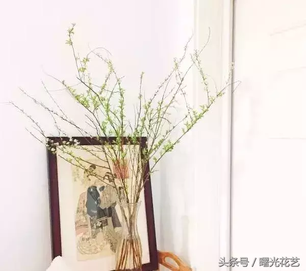 20种花材的插花教程，不会插花看这里！-16.jpg
