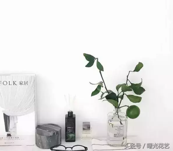 20种花材的插花教程，不会插花看这里！-19.jpg