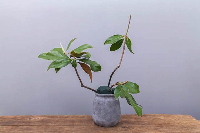 闲怡的庭院时光｜插花篇-3.jpg