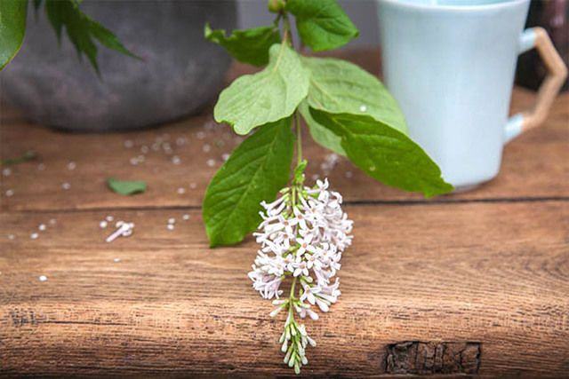 闲怡的庭院时光｜插花篇-6.jpg