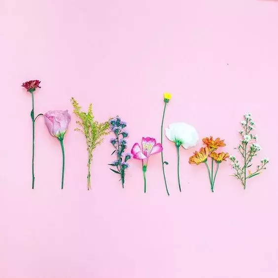 把家里的鲜花，分分钟插出花店的效果，简单插花教程-8.jpg