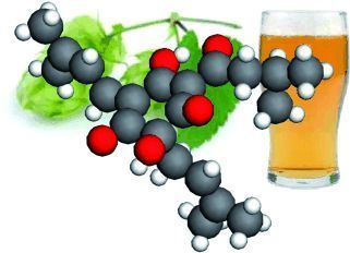 手把手教你做家酿啤酒-6.jpg