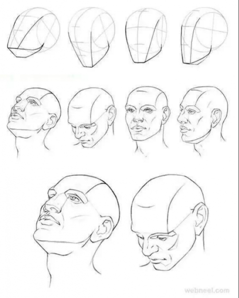 零基础自学的画画教程-11.jpg