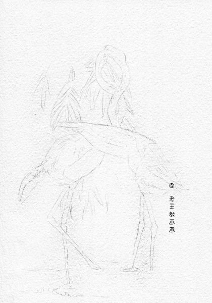 简单详细的画画教程，教你画火烈鸟-4.jpg