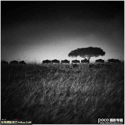 风光摄影的主题选择与取景角度运用技巧-9.jpg