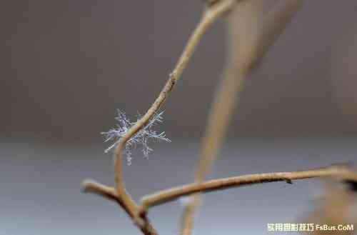 拍好雪景摄影师必备的20招-10.jpg