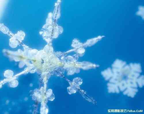 拍好雪景摄影师必备的20招-15.jpg