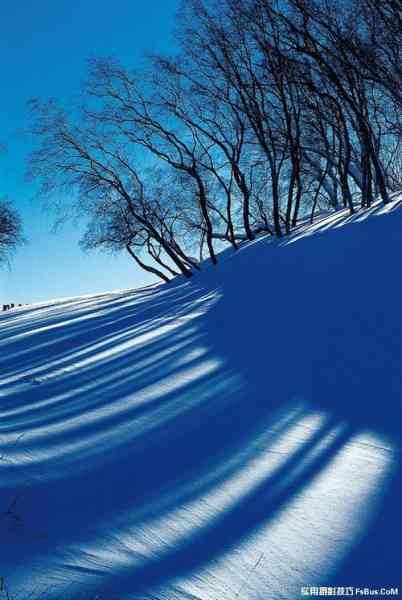 拍好雪景摄影师必备的20招-16.jpg