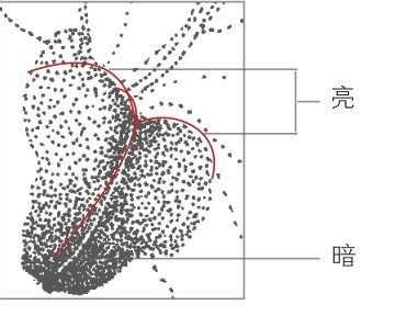 插画绘画教程：通过步骤让你学习绘画的具体画法和步骤，简单易懂-3.jpg