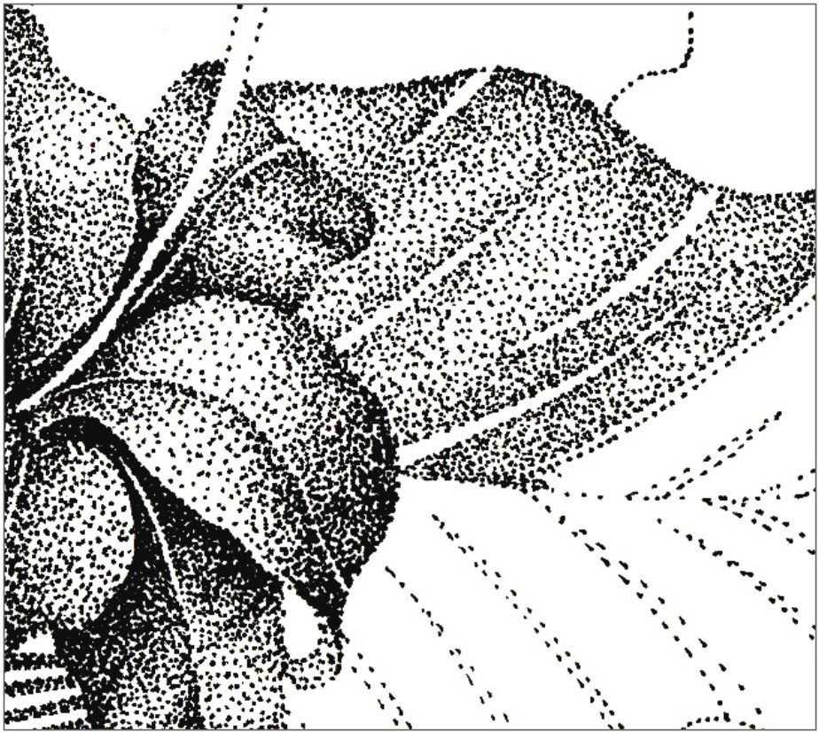 插画绘画教程：通过步骤让你学习绘画的具体画法和步骤，简单易懂-11.jpg