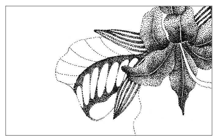 插画绘画教程：通过步骤让你学习绘画的具体画法和步骤，简单易懂-15.jpg