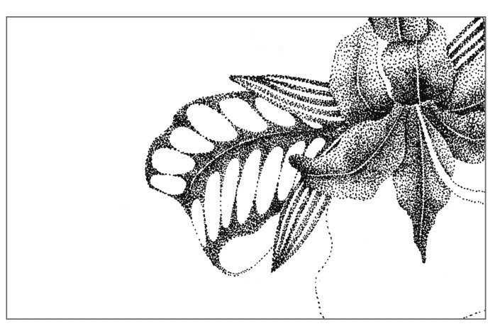 插画绘画教程：通过步骤让你学习绘画的具体画法和步骤，简单易懂-16.jpg