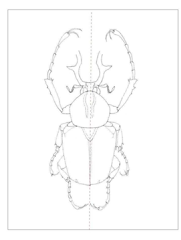 插画零基础教程：适合初学者学习的插画步骤教程，简单易学的插画-1.jpg