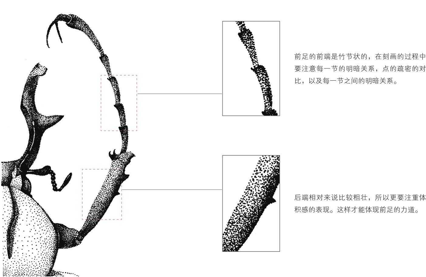 插画零基础教程：适合初学者学习的插画步骤教程，简单易学的插画-5.jpg