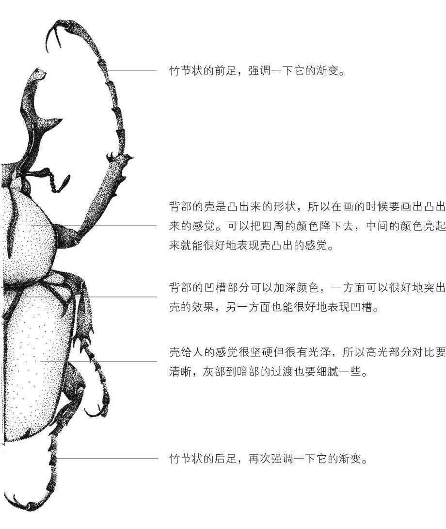 插画零基础教程：适合初学者学习的插画步骤教程，简单易学的插画-6.jpg