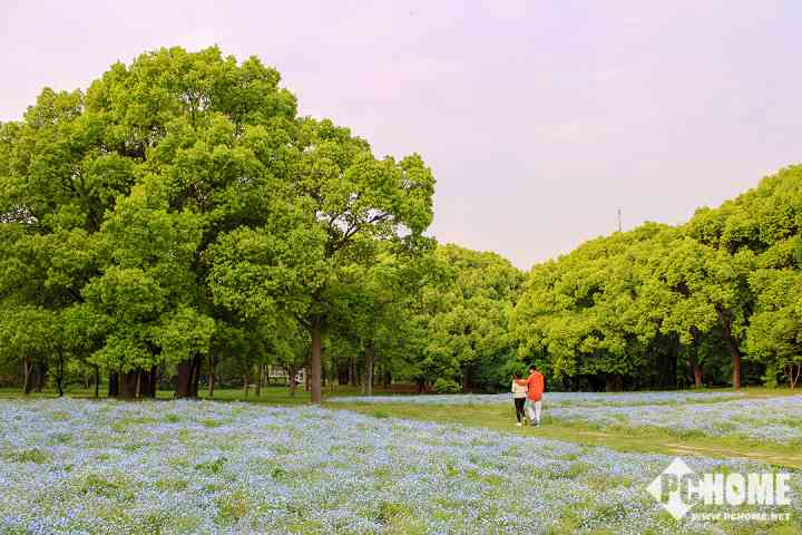 行摄初体验 踏青夜游两不误-9.jpg
