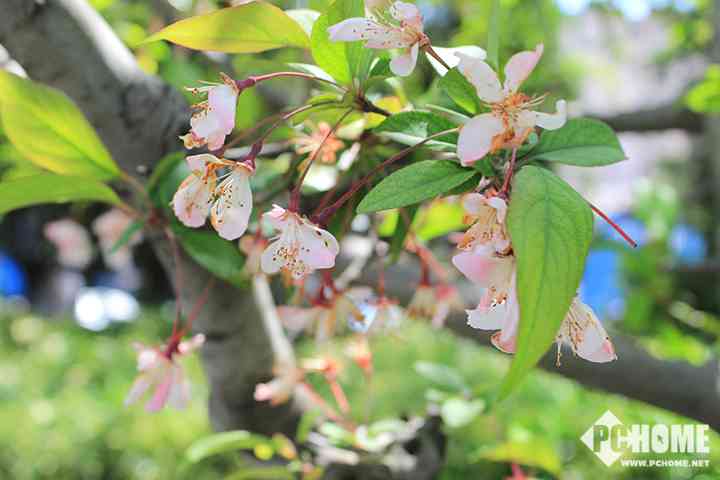 有单反真的能为所欲为 佳能EOS 1500D/3000D评测-4.jpg