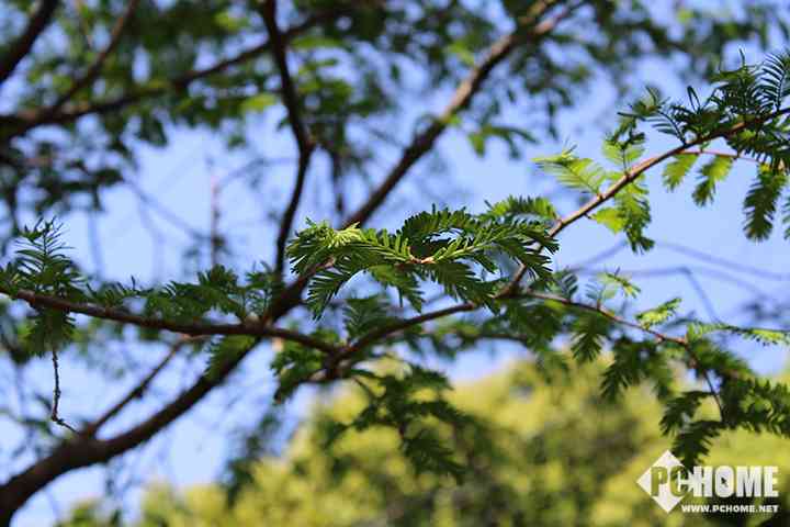 有单反真的能为所欲为 佳能EOS 1500D/3000D评测-6.jpg