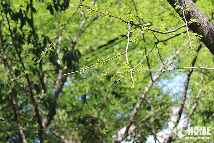 有单反真的能为所欲为 佳能EOS 1500D/3000D评测-9.jpg