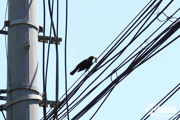有单反真的能为所欲为 佳能EOS 1500D/3000D评测-12.jpg