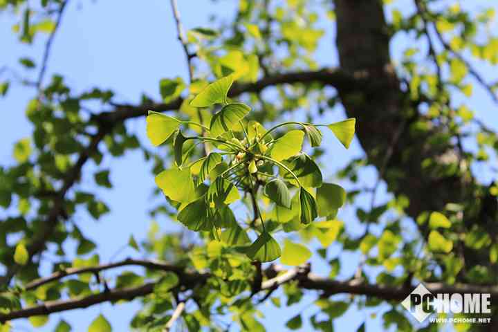 有单反真的能为所欲为 佳能EOS 1500D/3000D评测-13.jpg