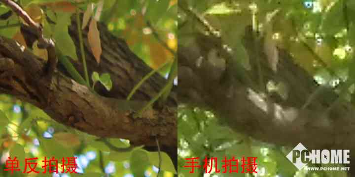 有单反真的能为所欲为 佳能EOS 1500D/3000D评测-54.jpg