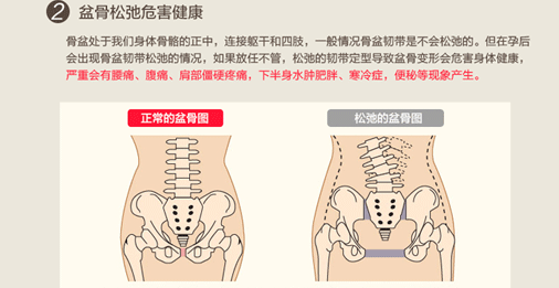 骨盆2.gif